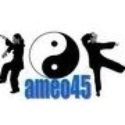 Arts Martiaux et Energétiques Orléanais Ameo45