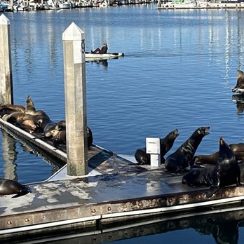 Oceanside Harbor - Boating Near Me - Oceanside, California