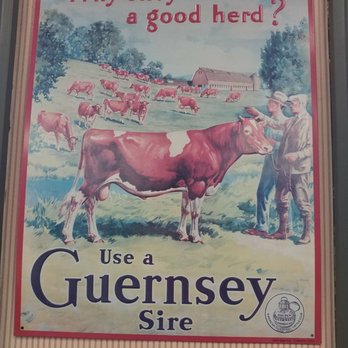 Golden Guernsey Ice Cream - Wall decor - Ice Cream & Frozen Yogurt Near Me - Oneonta, New York