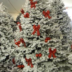 ABC Tree Farms
