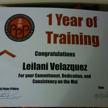 P3 Martial Arts - Martial Arts Near Me - Schaumburg, Illinois