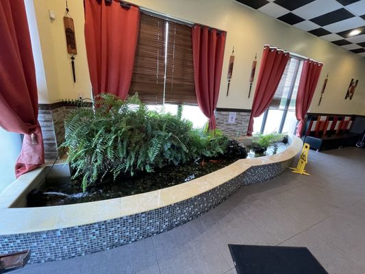 Teppanyaki Buffet by null