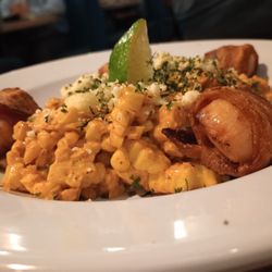 LoLa - Mount Pleasant - Angels wings scallops