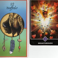 Joyce Van Horn - Bring your inner world alive with a tarot reading