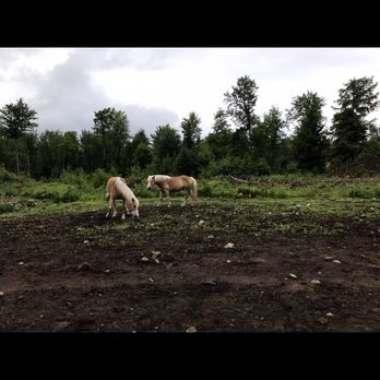 Adirondack Ranch - Horseback Riding Near Me - Thurman, New York