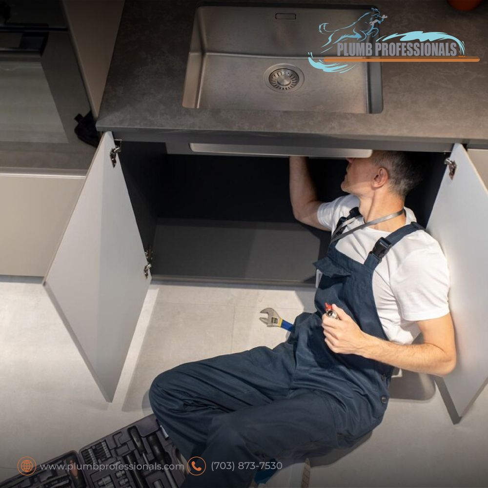 Slide of Plumb Professionals