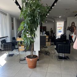 Up Hair Salon