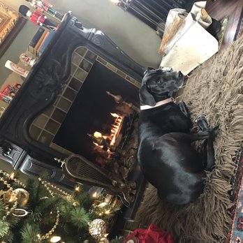 300 Clifton Bed and Breakfast - Madonna enjoying the library fireplace! - Bed & Breakfast Near Me - Minneapolis, Minnesota 300 Clifton Bed and Breakfast - Madonna enjoying the library fireplace! - Bed & Breakfast Near Me - Minneapolis, Minnesota