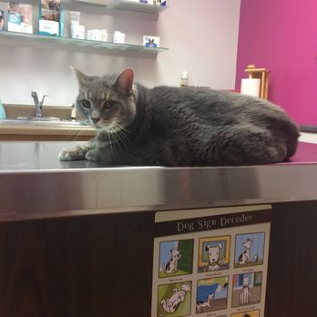 Eagle's Landing Veterinary Hospital - Veterinarians Near Me - McDonough, Georgia