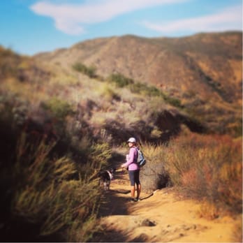 Cedar Creek Falls - Take plenty of water for your four legged friends! - Hiking Near Me - Ramona, California