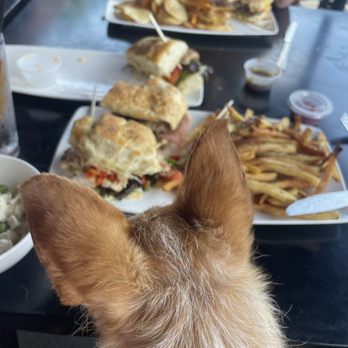 Two Hound Red Brewing - Besto Pesto and Cubano - dog friendly! - Brewpubs Near Me - Glen Ellyn, Illinois