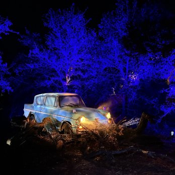 Harry Potter A Forbidden Forest Experience - Walking Tours Near Me - Cedar Creek, Texas Harry Potter A Forbidden Forest Experience - Walking Tours Near Me - Cedar Creek, Texas