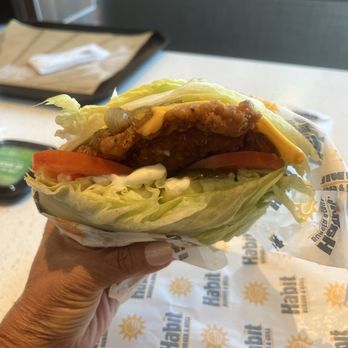 Habit Burger & Grill - Crispy Chicken - Burgers Near Me - Daly City, California Habit Burger & Grill - Crispy Chicken - Burgers Near Me - Daly City, California