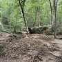 Yahoola Creek Park