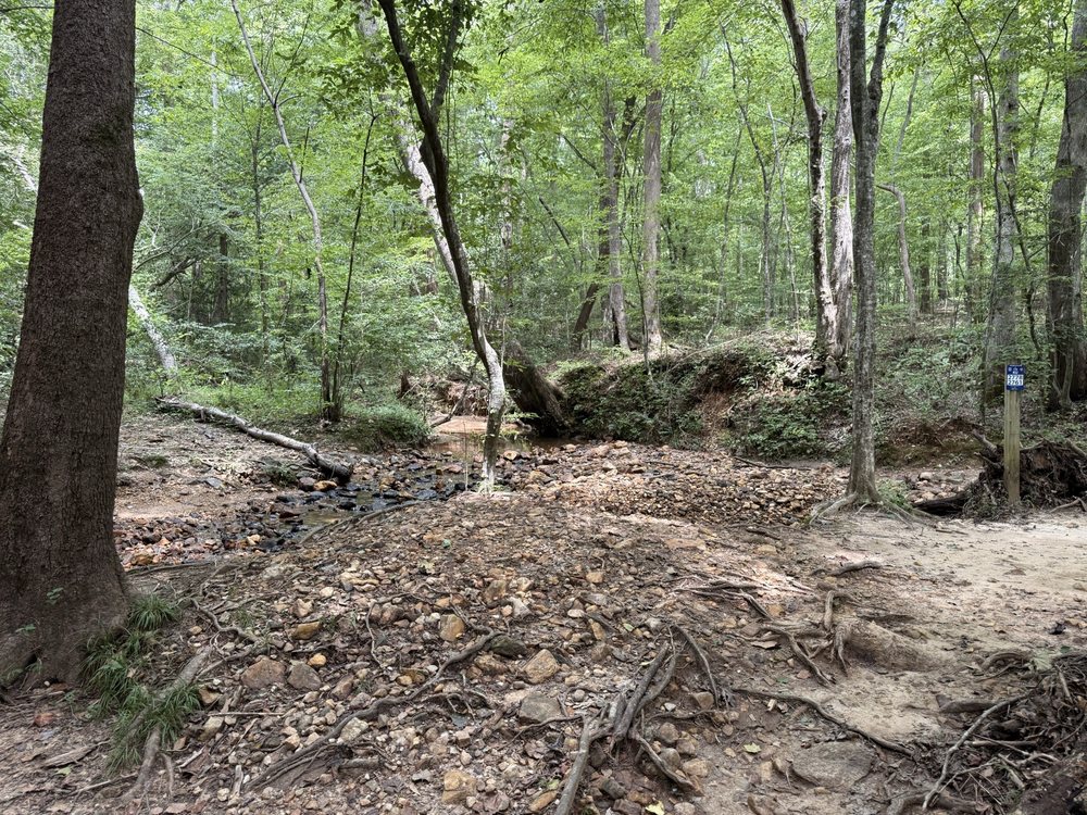 Social spots from Yahoola Creek Park