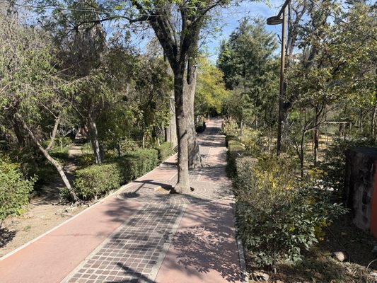 Parque Benito Juárez by null