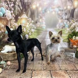 Royalty Groomers - happy easter from chiquis and precious