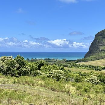 Kualoa Ranch - Tours Near Me - Kaneohe, Hawaii Kualoa Ranch - Tours Near Me - Kaneohe, Hawaii