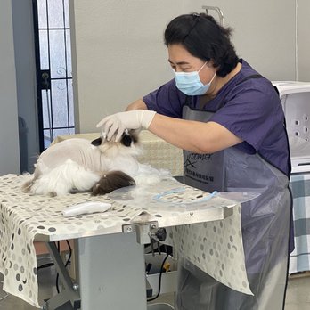 Happy Cat Grooming - Pet Groomers Near Me - Cypress, California Happy Cat Grooming - Pet Groomers Near Me - Cypress, California