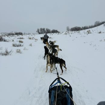 Bear Ridge Adventures - Sledding Near Me - Coalville, Utah