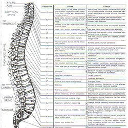 Sitzler Chiropractic