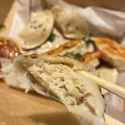 Steamed Chicken Dumplings