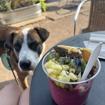 Hello Juice - Juice Bars & Smoothies Near Me - St. Louis, Missouri