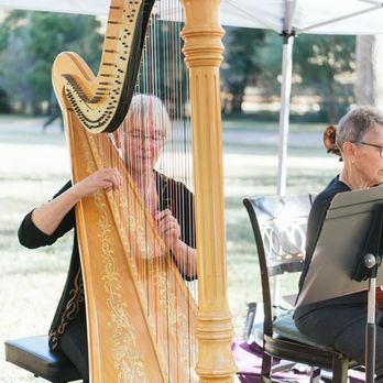 Minda Music - Wedding Harp Rentals! - Musical Instruments & Teachers Near Me - Garland, Texas Minda Music - Wedding Harp Rentals! - Musical Instruments & Teachers Near Me - Garland, Texas