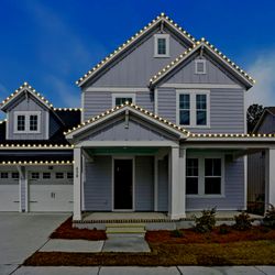 Palmetto Holiday Lights
