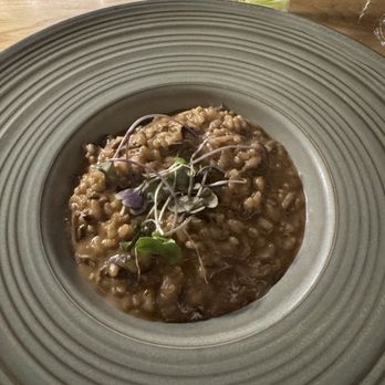 Manzzo Cuisine - Mushroom Risotto - Italian Near Me - Windermere, Florida Manzzo Cuisine - Mushroom Risotto - Italian Near Me - Windermere, Florida