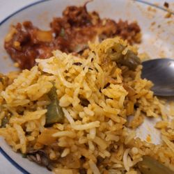 House of Naan - Gobi Manchurian and Mixed Veggie Biryani