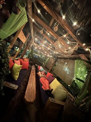 The Velvet Cactus by null