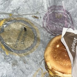 McDonald's - Fly on yellow part of the paper wrap that was wrapped around my mcdouble.