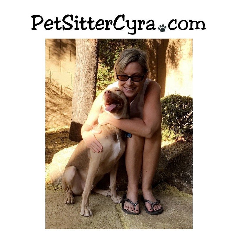 PetSitterCyra.com - pet boarding facility in Scottsdale, AZ