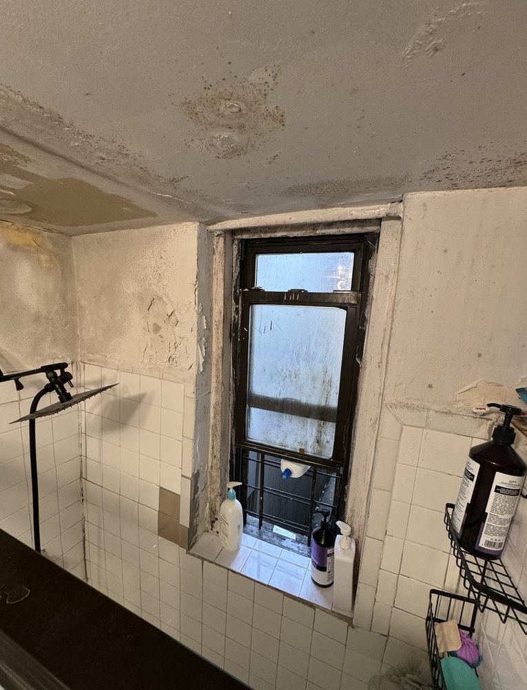 Accredited Environmental Safety - mold inspector in Maspeth, NY