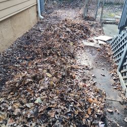 Oneth Lawn Care