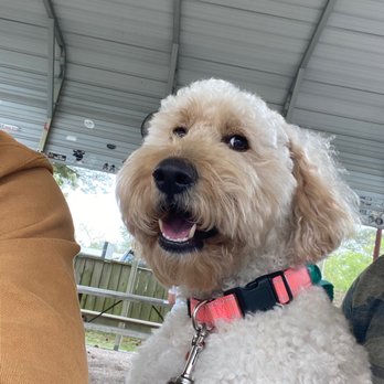 CorkScrew BBQ - My doggo! - Barbeque Near Me - Spring, Texas CorkScrew BBQ - My doggo! - Barbeque Near Me - Spring, Texas