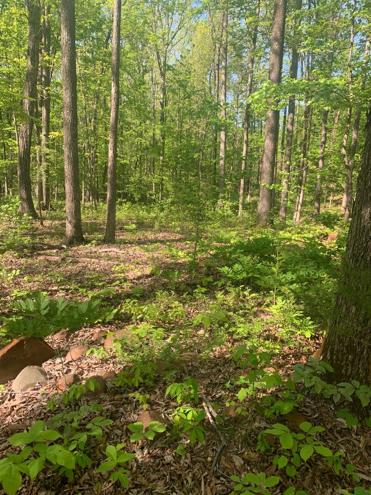 IRON ORE BELT ACCESS Updated September 2024 6064 N Church St