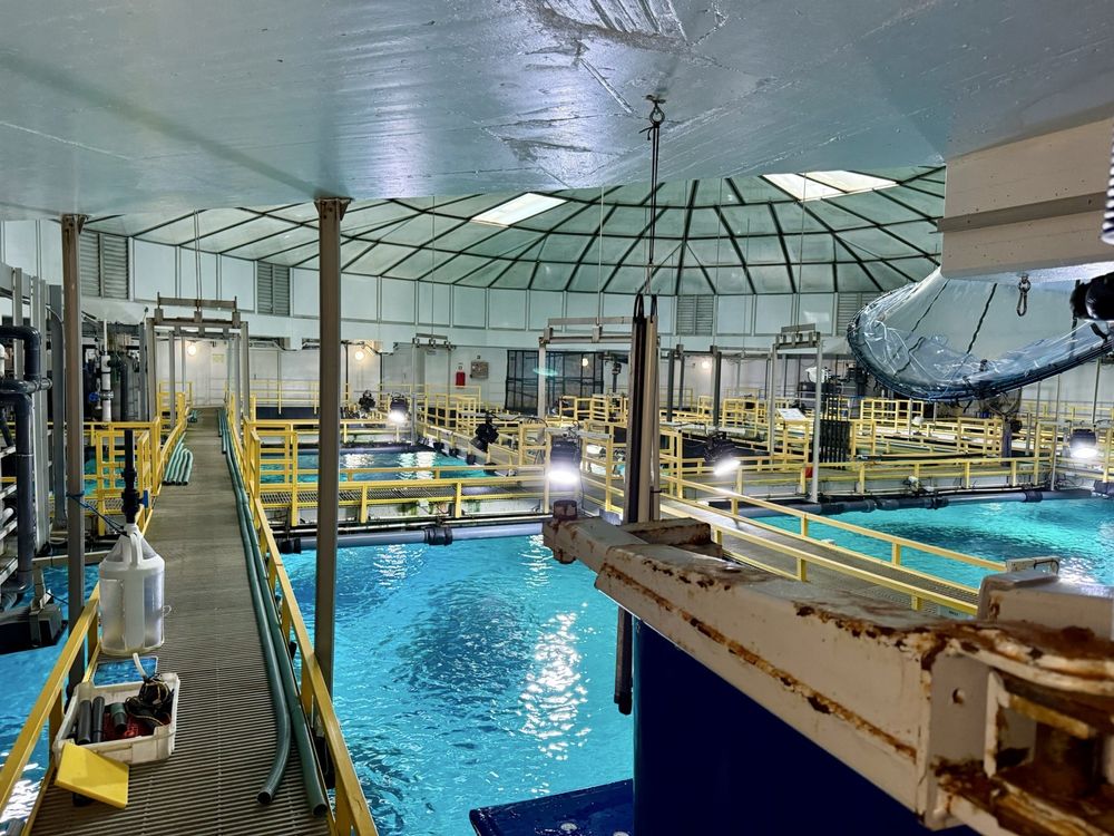 Oceanário de Lisboa