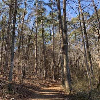 Historic Yates Mill County Park - Parks Near Me - Raleigh, North Carolina Historic Yates Mill County Park - Parks Near Me - Raleigh, North Carolina