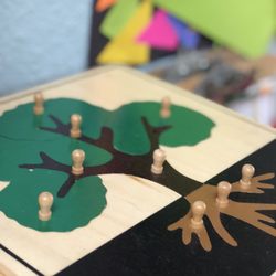New World Montessori School