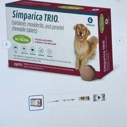 Juniper Valley Animal Hospital, PC - Vet recommended pills for ticks and fleas