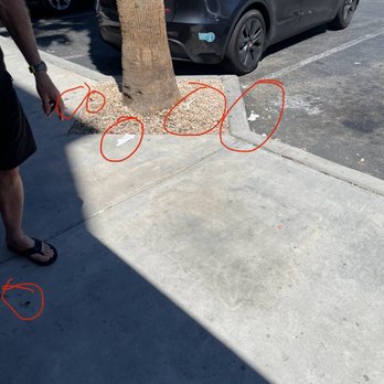 Handel's Homemade Ice Cream - Trash all over the ground as we stand in line ..... thinking we can try a few samples NOTTTTTTTT! - Ice Cream & Frozen Yogurt Near Me - Palmdale, California Handel's Homemade Ice Cream - Trash all over the ground as we stand in line ..... thinking we can try a few samples NOTTTTTTTT! - Ice Cream & Frozen Yogurt Near Me - Palmdale, California