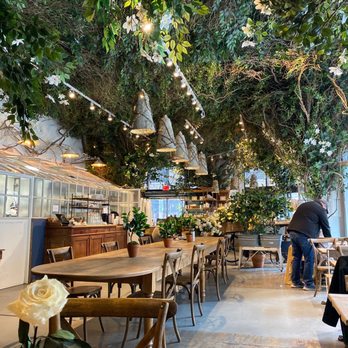 maman - Lovely decor, friendly staff and delicious food. - Bakeries Near Me - New York, New York maman - Lovely decor, friendly staff and delicious food. - Bakeries Near Me - New York, New York