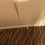 Photo of Island Inn & Suites, Ascend Hotel Collection
