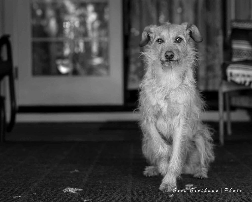 BACKYARD GARDEN OASIS BED & BREAKFAST INN Updated May 2024 40