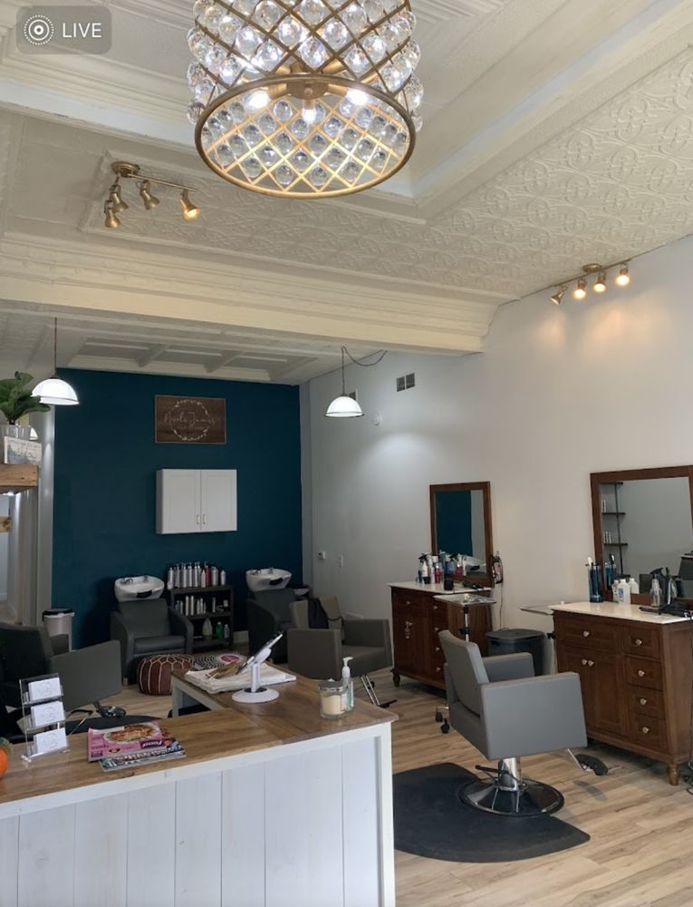 Nicole James Hair Studio Logo