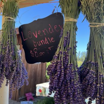 Graysmarsh Farm U-Pick - Pick Your Own Farms Near Me - Sequim, Washington Graysmarsh Farm U-Pick - Pick Your Own Farms Near Me - Sequim, Washington