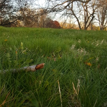 Holliday Park - sunsetting - Parks Near Me - Indianapolis, Indiana Holliday Park - sunsetting - Parks Near Me - Indianapolis, Indiana