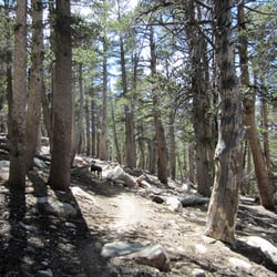 San Gorgonio Peak via Fish Creek - Just past fish creek saddle